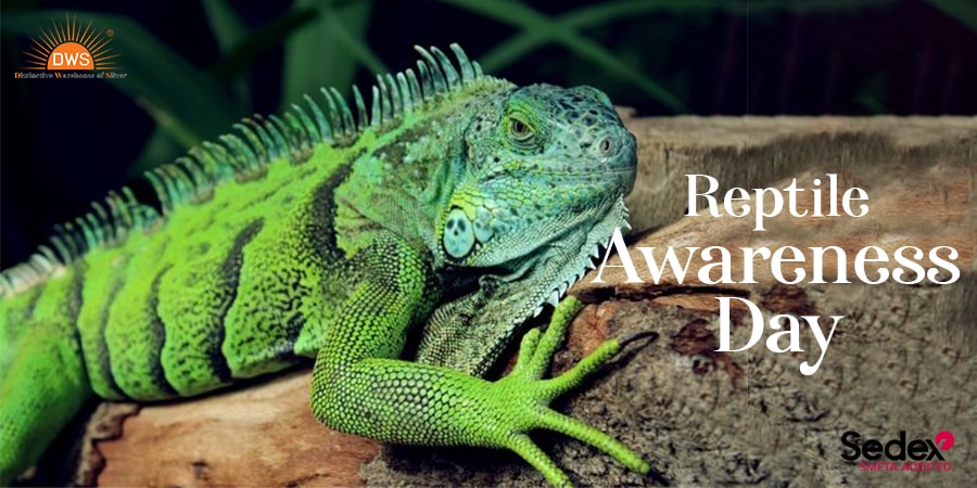 Happy Reptile Awareness Day